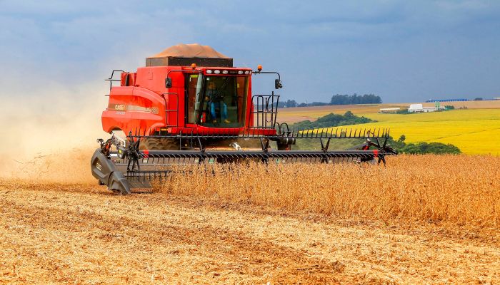  Chuvas favorecem plantio e produção estimada de soja é de 22,4 milhões de toneladas